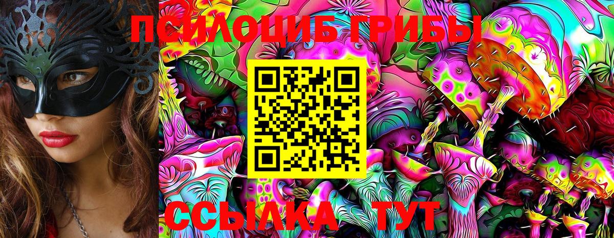 Псилоцибиновые грибы Psilocybine cubensis  Вход с VPN  Владимир 